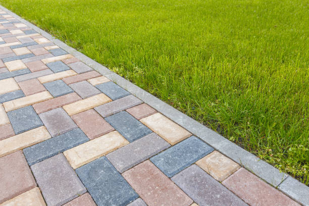 Best Driveway Paving Contractor  in Columbia Heights, MN